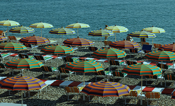 Iveria Beech